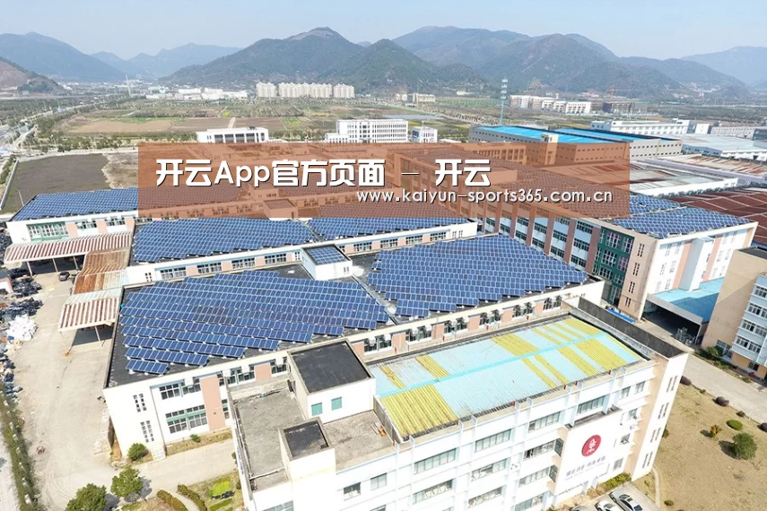 案例展示一