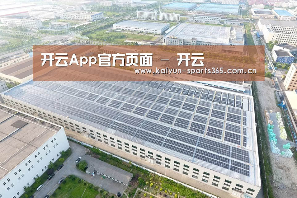 案例展示三